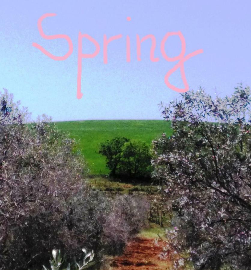 גרוסטו Agriturismo Il Cantiniere מראה חיצוני תמונה