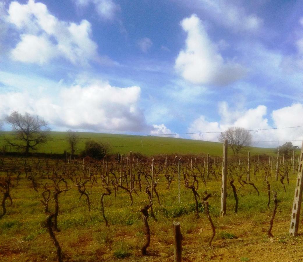 גרוסטו Agriturismo Il Cantiniere מראה חיצוני תמונה