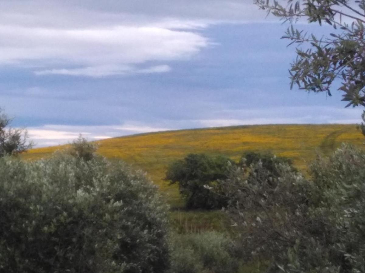 גרוסטו Agriturismo Il Cantiniere מראה חיצוני תמונה